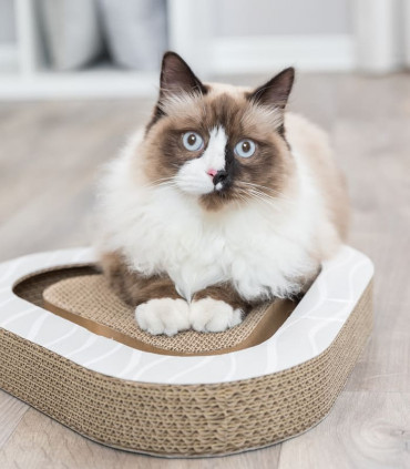 Tabla Cartón Rascadora