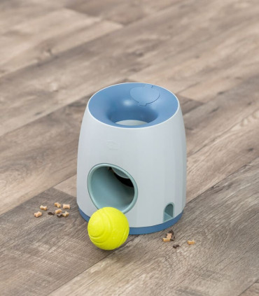 Dog Activity Swapper