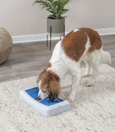 Juego Interactivo Rod Board