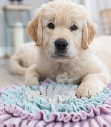 Junior Alfombra para Olfatear
