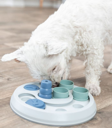 Flip & Fun Juego Interactivo