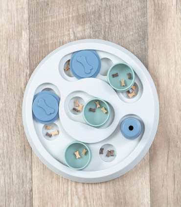 Flip & Fun Juego Interactivo