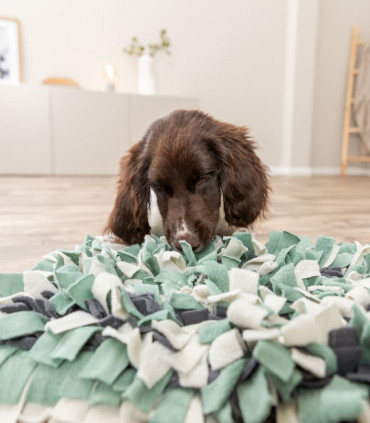 Juego Sniffing Carpet