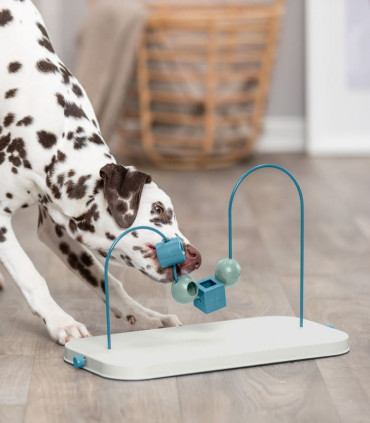 Dog Activity Skills Loop