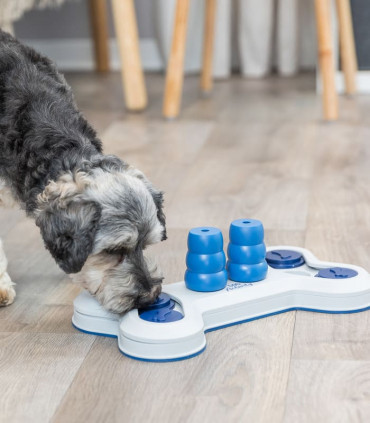 Juego Interactivo Flip Bone