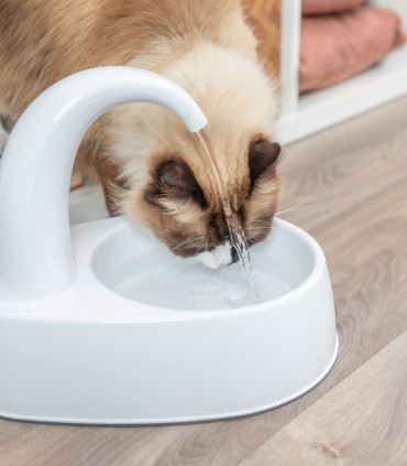 Fuente Curved Stream