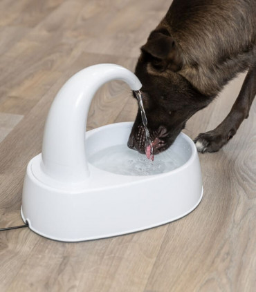 Fuente Curved Stream