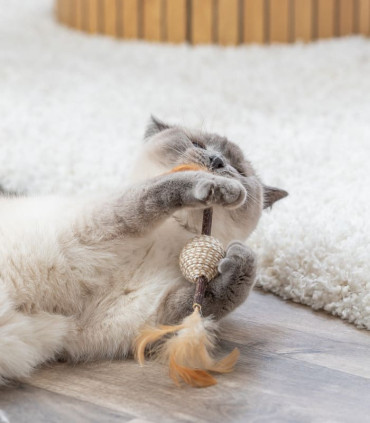 Juguete Matatabi con Plumas