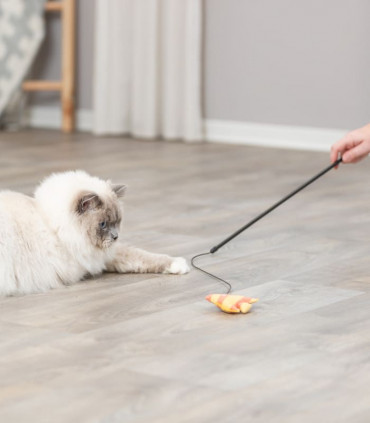 Varita de Juego con Pescado