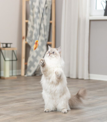 Varita de Juego con Pescado