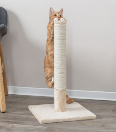 Poste Rascador Batres