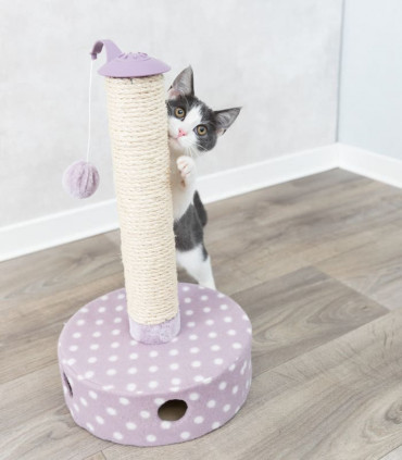 Junior Poste Rascador