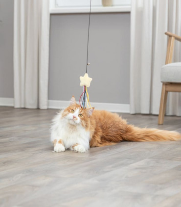 Varita de Juego con Estrella