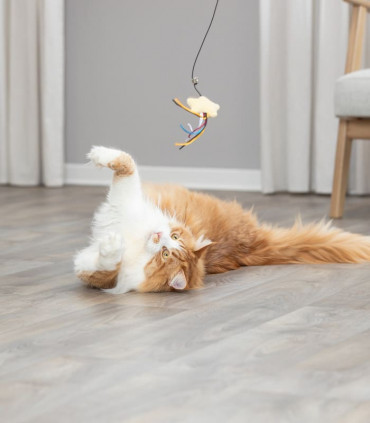 Varita de Juego con Estrella