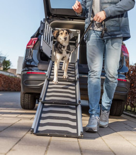 Rampa Telescópica 3 Pasos