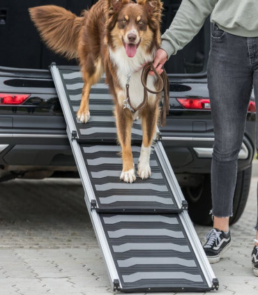 Rampa Telescópica 3 Pasos