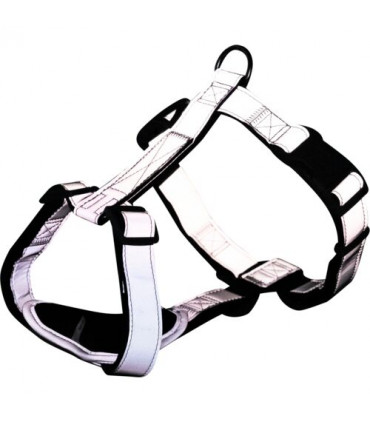 Premium Reflect Arnes