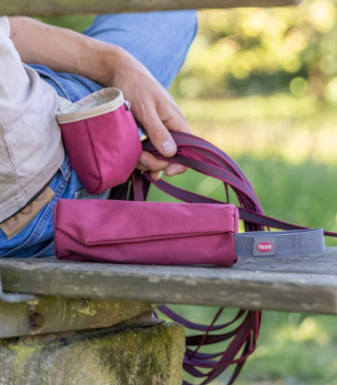 Mordedor Entrenamiento