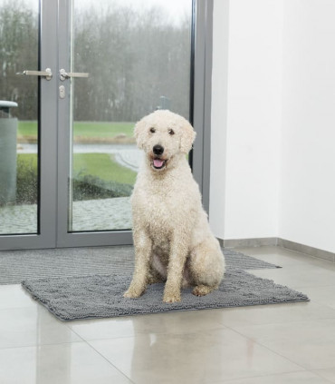 Alfombrilla Absorbe Suciedad