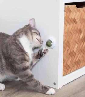 Pelota de matatabi con soporte