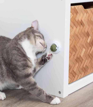 Pelota de matatabi con soporte