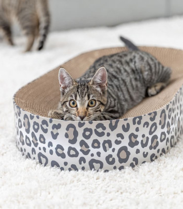 Cama para rascar Leo