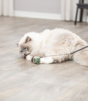 Varita de Juego con Ratón