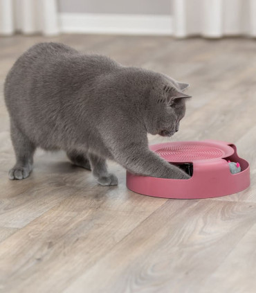 Juego Atrapa el Ratón