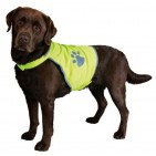 Chaleco de Seguridad