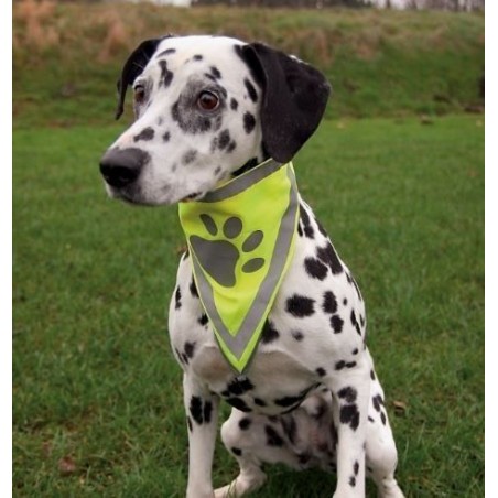 Pañuelo de Seguridad