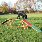 Pasarela para Agility