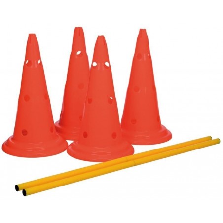 Set de Obstáculos Dog Activity