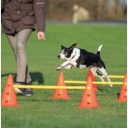 Set de Obstáculos Dog Activity