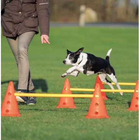 Set de Obstáculos Dog Activity