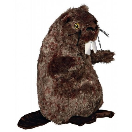 Castor con sonido real