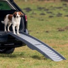 Rampa Plegable Petwalk