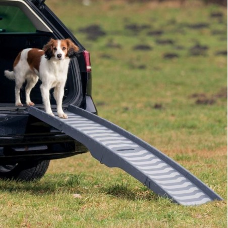 Rampa Plegable Petwalk