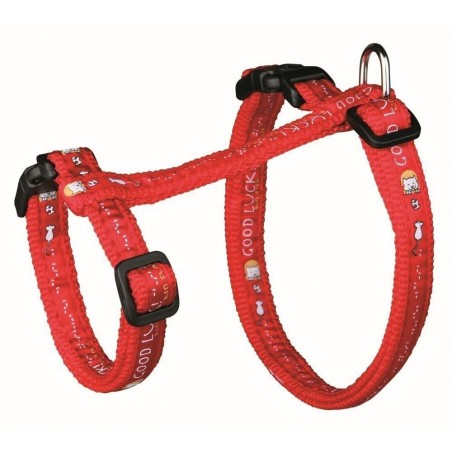 Arnés XL con Correa