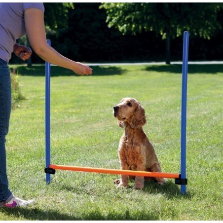 Valla para Agility