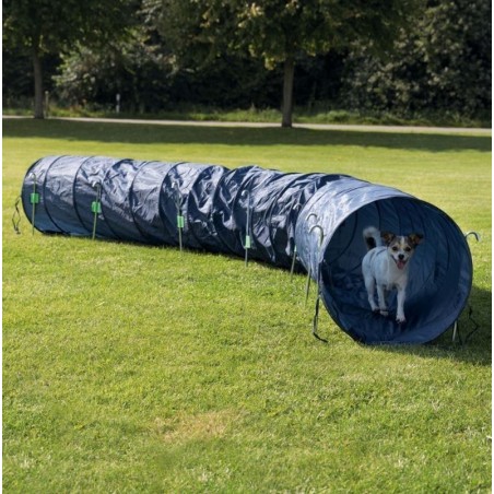 Túnel Básico para Agility