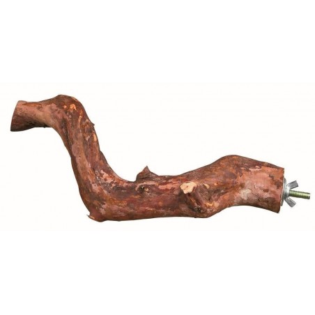 percha liana, 25 cm, producto natural