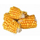 Trozos de Mazorca de Maíz