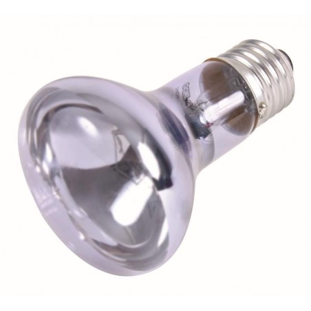 Lámpara Neodimio Calentadora