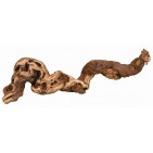 10 troncos chorrados de arena - talla 2: 35-45 cm