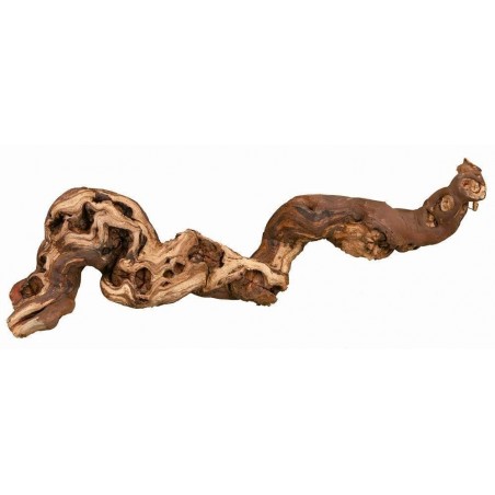 10 troncos chorrados de arena - talla 2: 35-45 cm