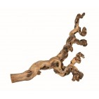 6 troncos chorrados de arena - XL: 50-80 cm