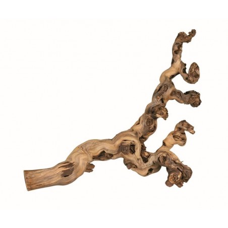 6 troncos chorrados de arena - XL: 50-80 cm