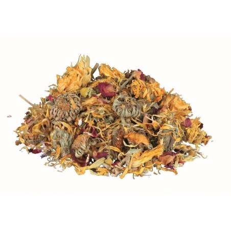 mezcla de flores para reptiles