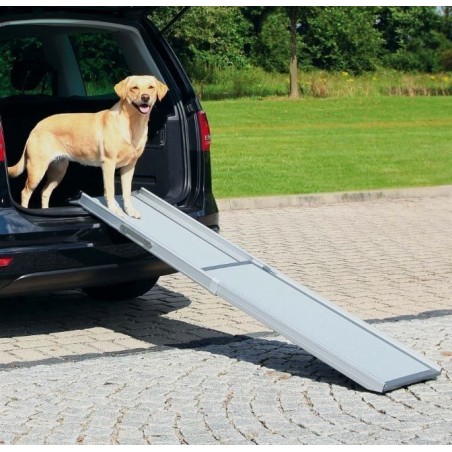 Rampa Telescópica Petwalk