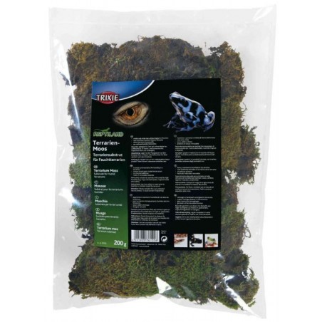 Musgo para Terrario
